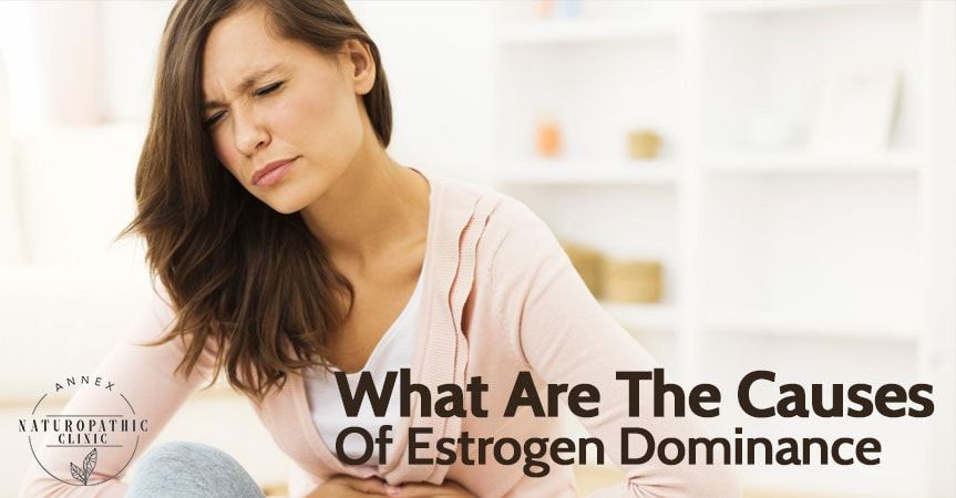 The Causes of Estrogen Dominance | Annex Naturopathic Clinic Toronto Naturopath