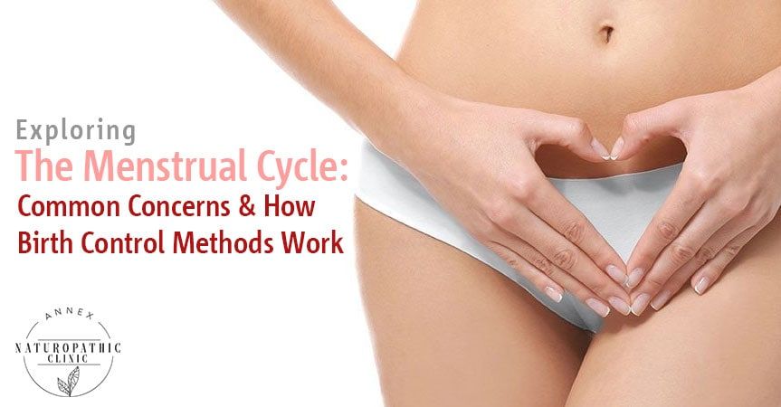 Menstrual Cycle Facts | Annex Naturopathic Clinic | Womens Health