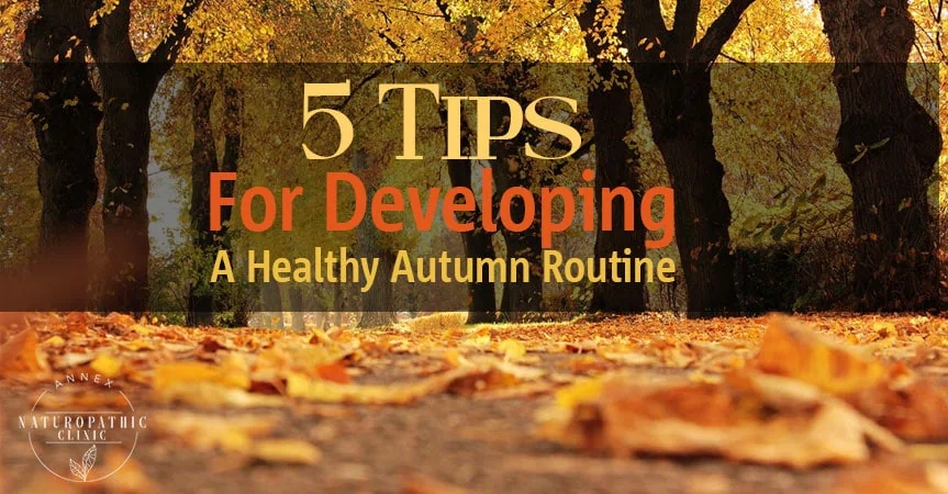 Healthy Autumn Routine Tips | Annex Naturopathic Clinic | Toronto Naturopathic Doctors
