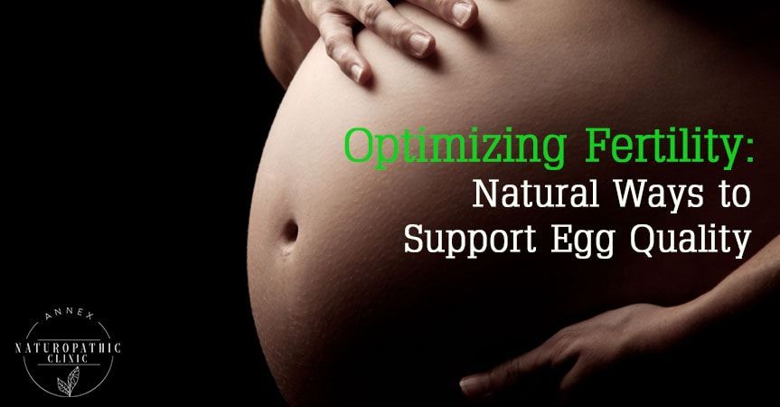 Natural Ways to Support Egg Quality | Annex Naturopathic Clinic Toronto