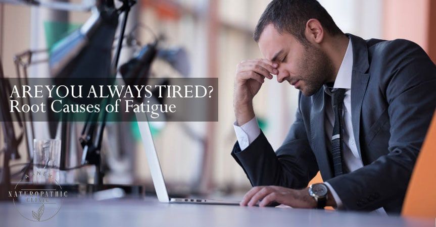 The causes of fatigue | Annex Naturopathic Clinic | Naturopath Toronto