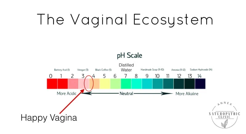 The Vaginal Ecosystem pH Scale | Annex Naturopathic Clinic | Toronto Naturopathic Doctors
