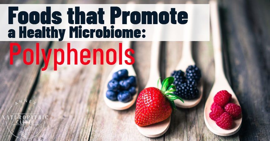 links between polyphenols in foods for healthy microbiome | Annex Naturopathic Clinic | Toronto Naturopathic Doctors