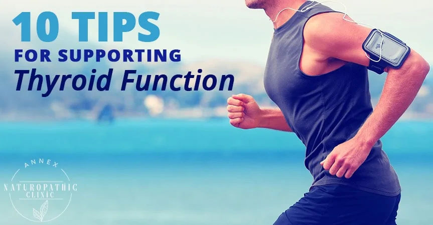 10 Tips For Supporting Thyroid Function | Annex Naturopathic Clinic | Toronto Naturopathic Doctors