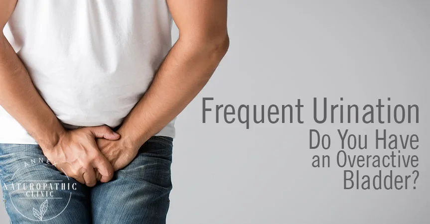 Frequent urination causes and solutions | Annex Naturopathic Clinic | Toronto Naturopathic Doctors