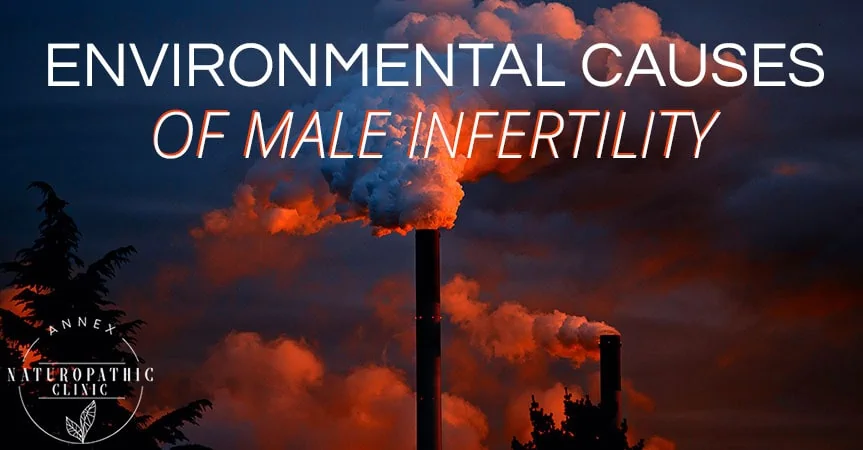 Enviromental Causes Of Male Infertility | Annex Naturopathic Clinic | Toronto Naturopathic Doctors