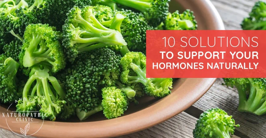 10 Solutions to Support Your Hormones Naturally | Annex Naturopathic Clinic | Toronto Naturopathic Doctors
