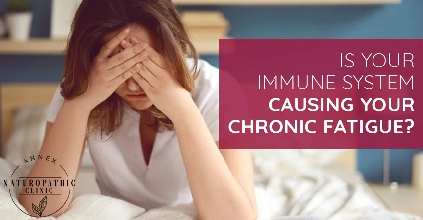Is Your Immune System Causing Your Chronic Fatigue? | Annex Naturopathic Clinic | Toronto Naturopathic Doctors