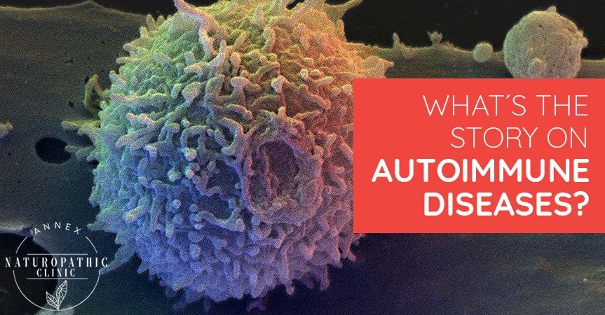 What's The Story On Autoimmune Diseases? | Annex Naturopathic Clinic | Toronto Naturopathic Doctors