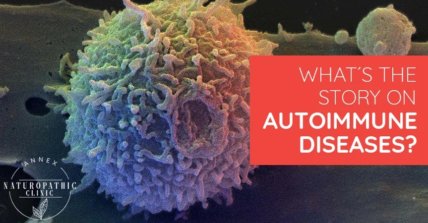 What's The Story On Autoimmune Diseases? | Annex Naturopathic Clinic | Toronto Naturopathic Doctors