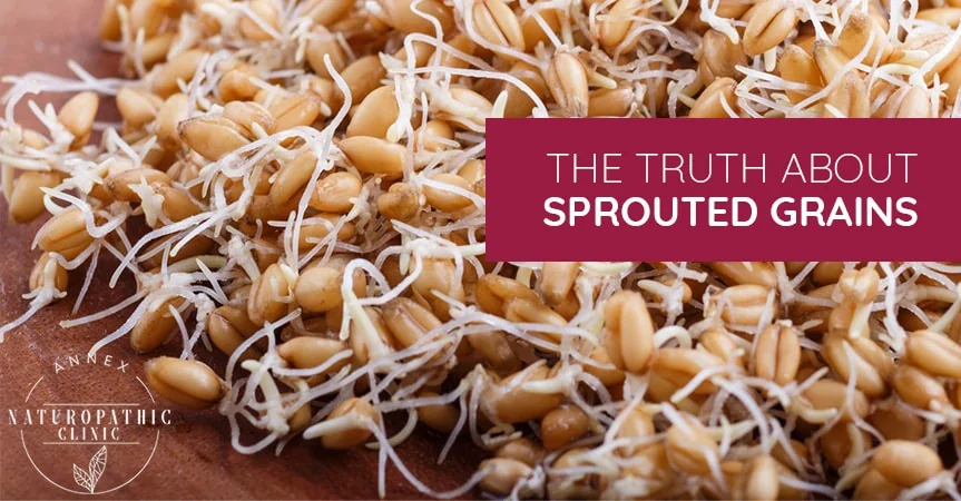 The Truth About Sprouted Grains | Annex Naturopathic Clinic | Toronto Naturopathic Doctors