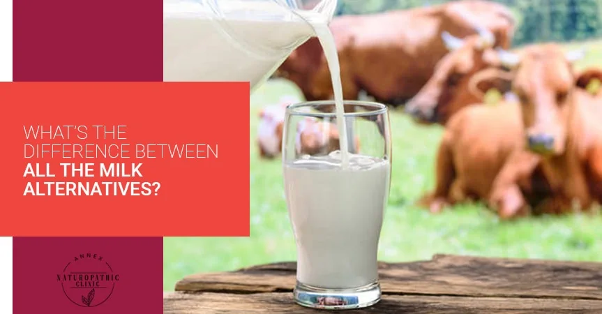What’s The Difference Between All The Milk Alternatives? | Annex Naturopathic Clinic | Toronto Naturopathic Doctors