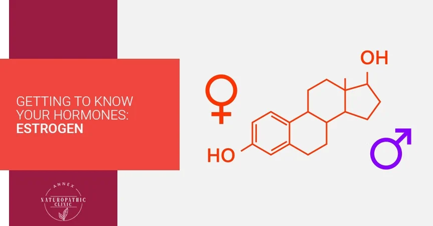 Getting To Know Your Hormones: Estrogen | Annex Naturopathic Clinic | Toronto Naturopathic Doctors