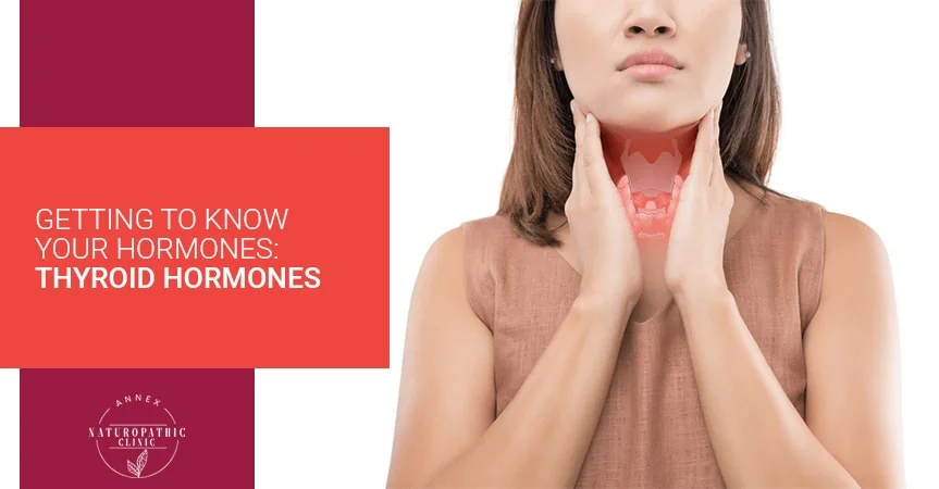 Getting To Know Your Hormones: Thyroid Hormones | Annex Naturopathic Clinic | Toronto Naturopathic Doctors