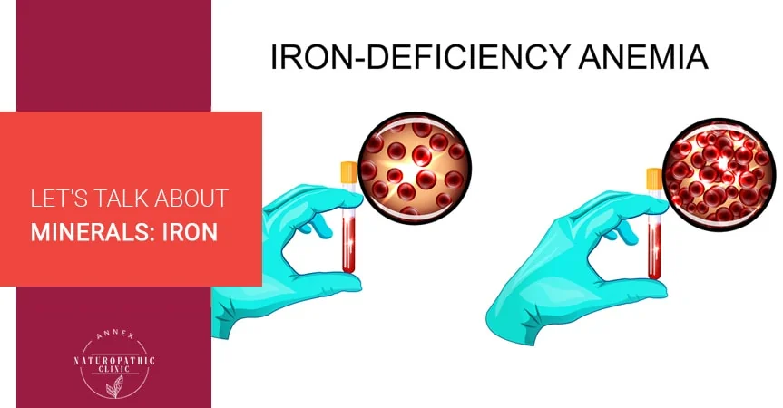 Let's Talk About Minerals: Iron | Annex Naturopathic Clinic | Toronto Naturopathic Doctors