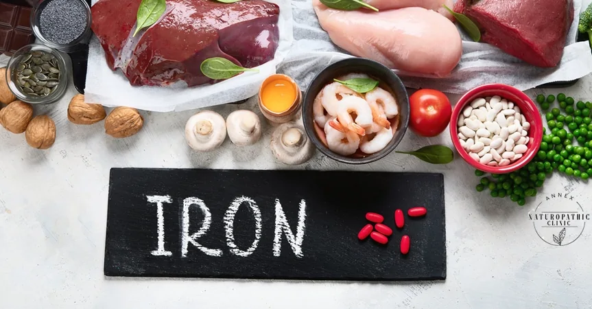 Iron rich foods for menstrual health | Annex Naturopathic Clinic | Toronto Naturopathic Doctors