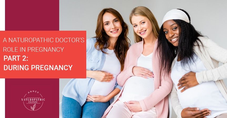 A Naturopathic Doctor's Role In Pregnancy Part 2: Pregnancy | Annex Naturopathic Clinic | Toronto Naturopathic Doctors