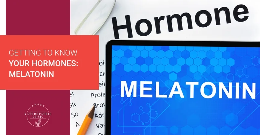 Getting To Know Your Hormones: Melatonin | Annex Naturopathic Clinic | Toronto Naturopathic Doctors