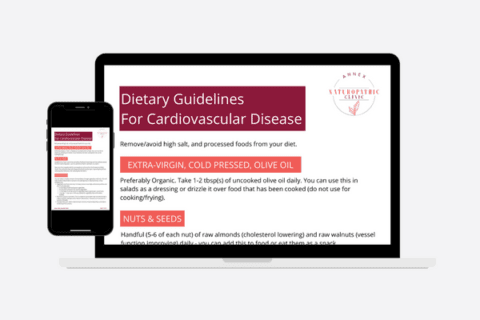 Icon Dietary Guidelines for Cardiovascular Disease