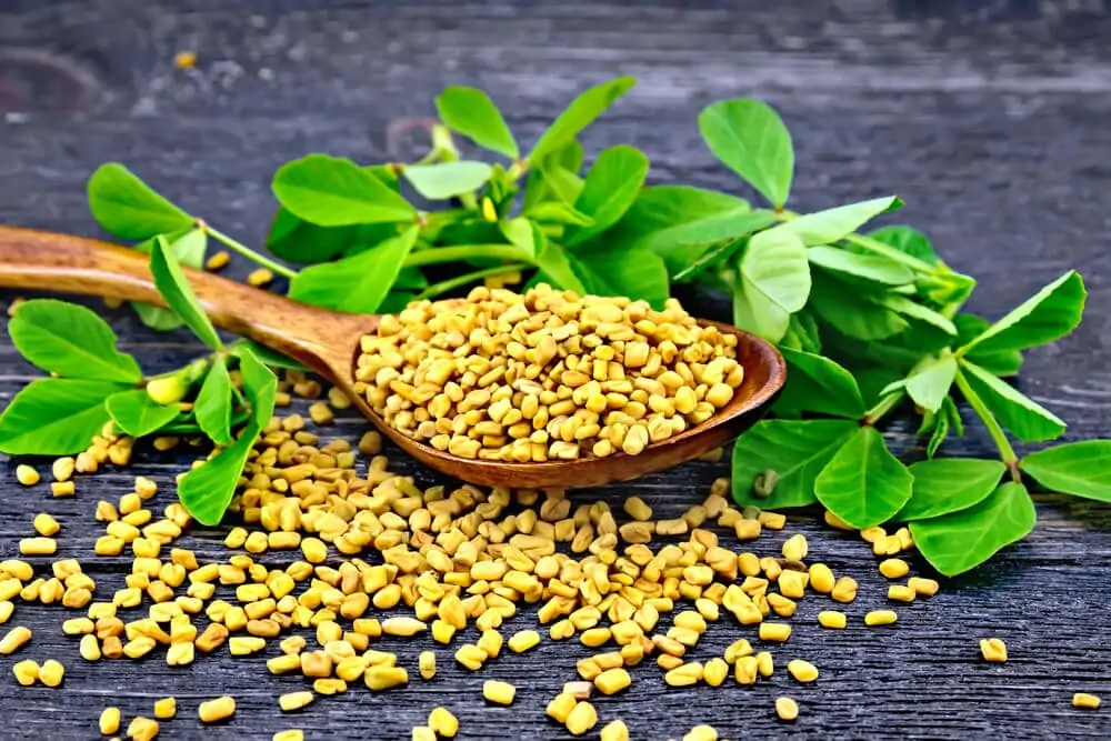 Fenugreek seeds for Insulin resistance