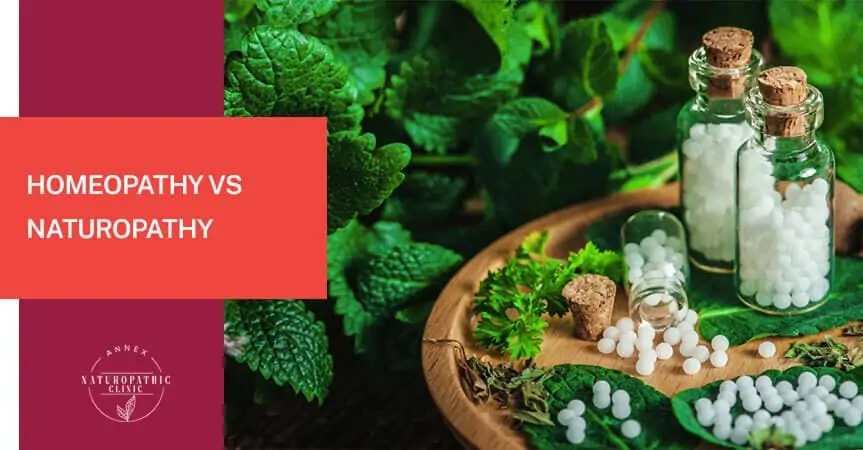homeopathy vs naturopathy