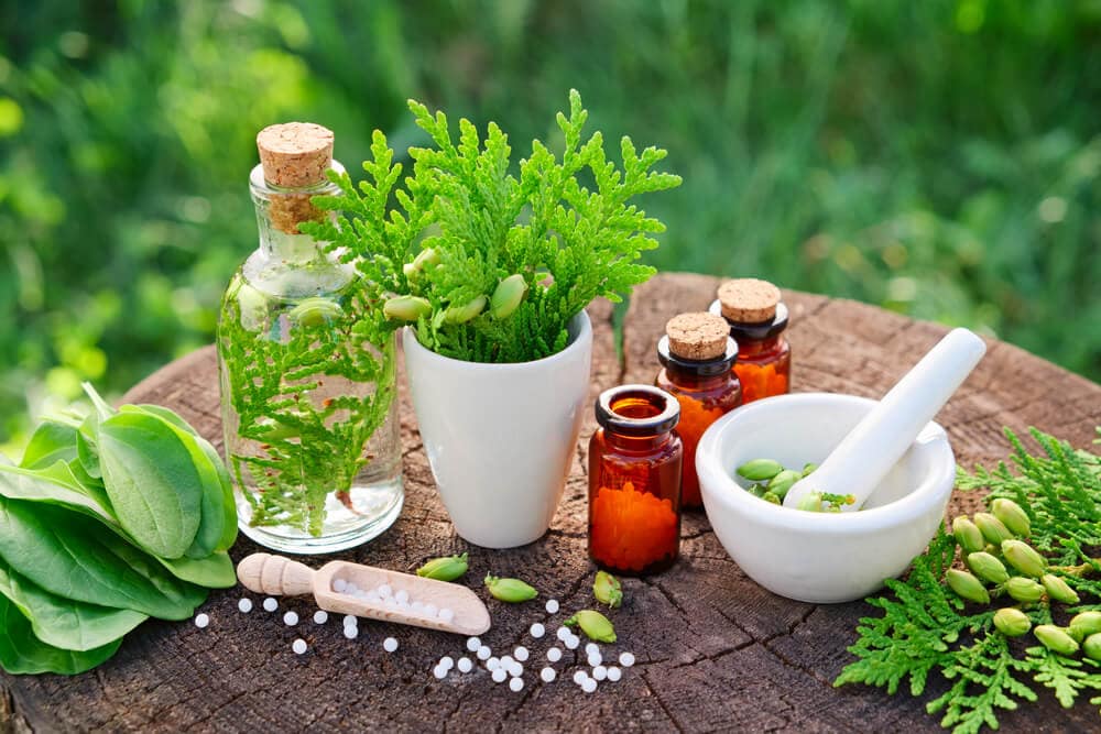 what is homeopathic medicine