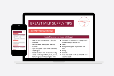 Breast Milk Supply Blueprint